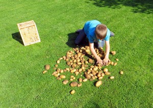 Kartoffelbauern-2